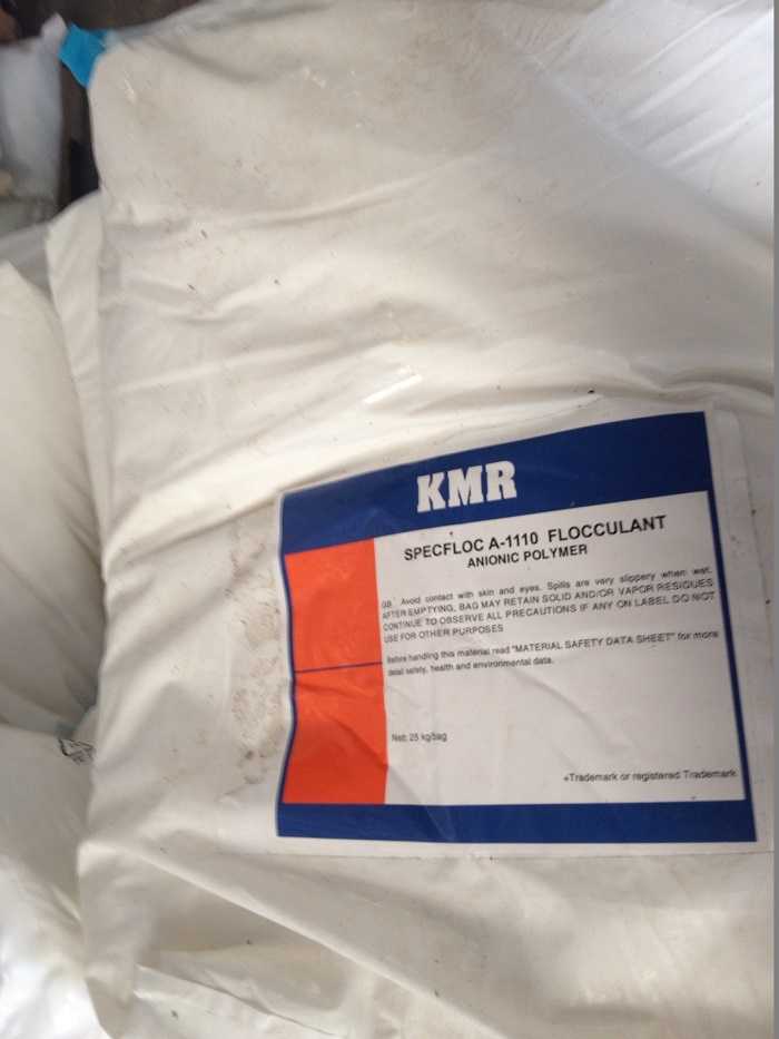 Polymer Anion A 1110